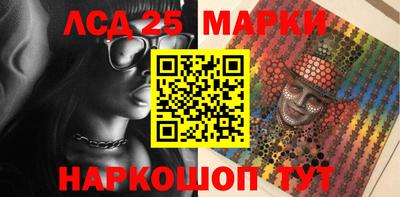 спиды Гай