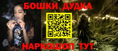 спиды Гай