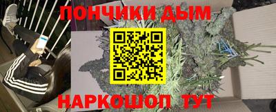 спиды Гай