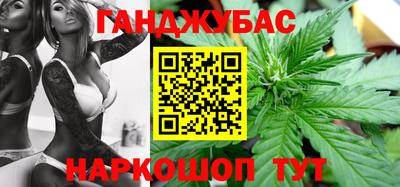 спиды Гай
