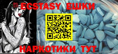 спиды Гай